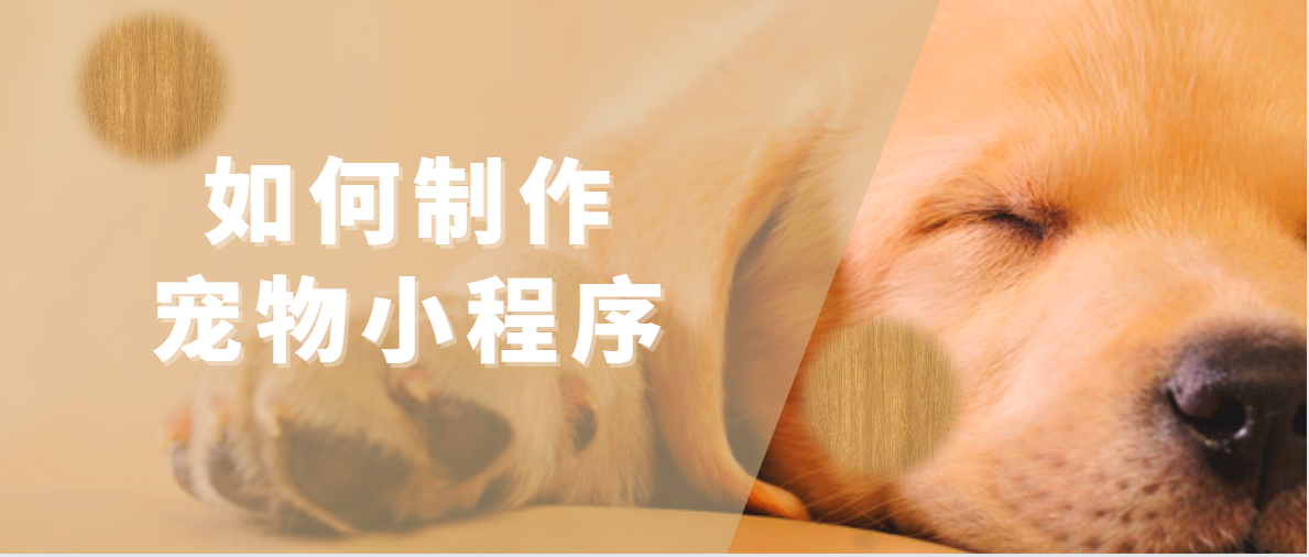 <b>寵物服務(wù)預(yù)約小程序開發(fā)：實現(xiàn)寵物護(hù)理便捷化</b>