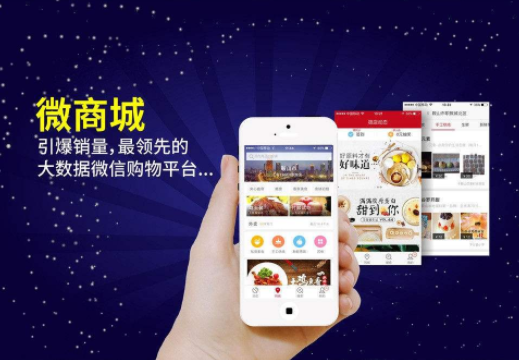 <b>【小程序開發公司】微分銷玩法(下)之積分使用玩法</b>