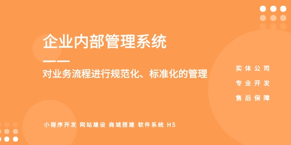企業管理軟件開發