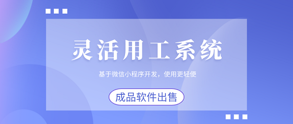 廣東鋒火靈活用工管理系統(tǒng)開發(fā)